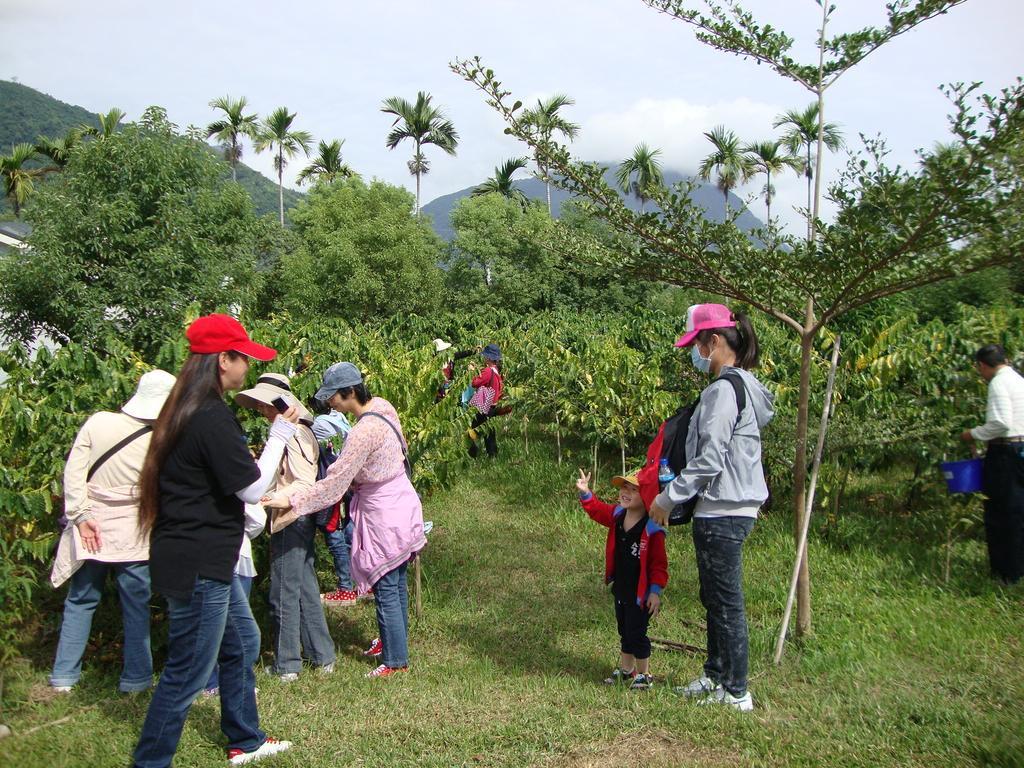 Taroko Sialin Coffee Farm Homestay Xiulin Ngoại thất bức ảnh