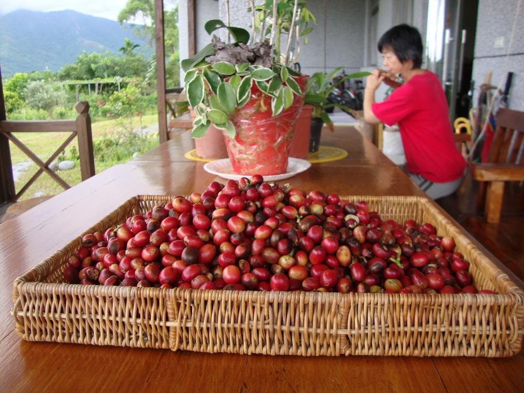 Taroko Sialin Coffee Farm Homestay Xiulin Ngoại thất bức ảnh