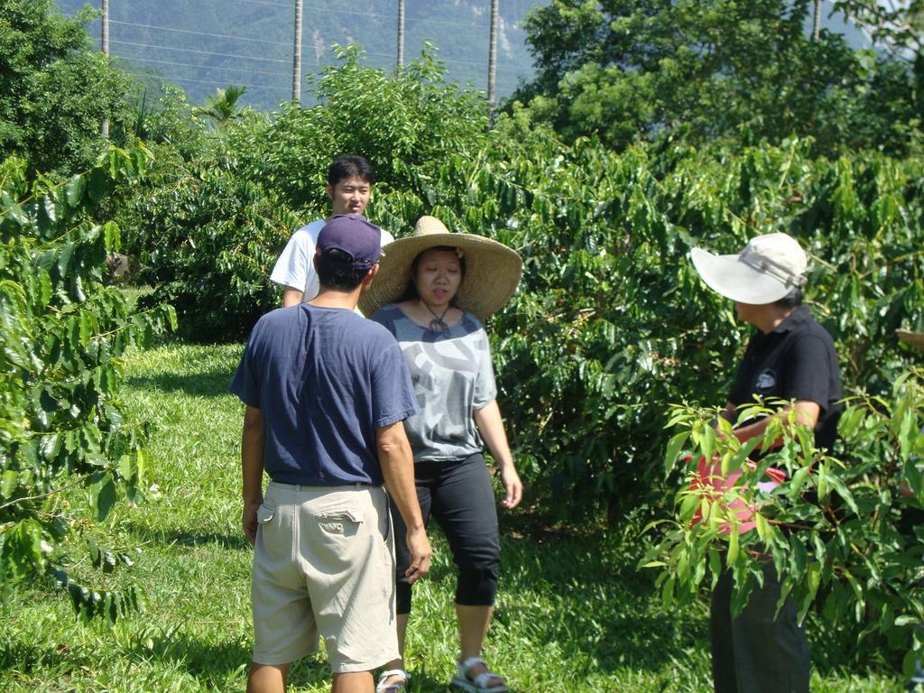 Taroko Sialin Coffee Farm Homestay Xiulin Ngoại thất bức ảnh